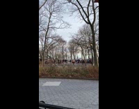 Group of people dance at park 