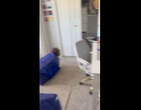 Woman left inside room stuck inside bag