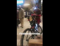 Collab Subway Creatures - Man in rasta outfit plays the flute in subway station 