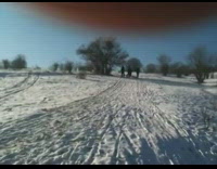 Guys ride sleds down melting snow hill 