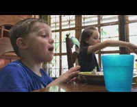 Blue shirt little boy tattle sister table 