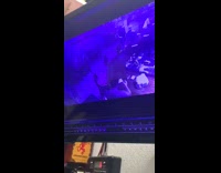 Guy puts on face mask falls fail