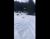 Collab Scorpionmasters - Person gray suit top attempts ski backflip and scorpions 