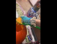 ALREADY SUBMITTED TO BITCH - Man welding a pumpkin
