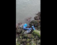 Collab WINY - Lost Rental Bike on River Bank Rocks