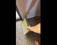 Cat enjoys heated slab from the sunlight