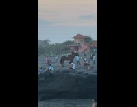 Girl black boots poses brown horse beach 