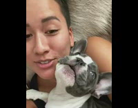 Girl I love you grey puppy dog