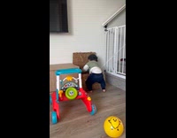 Baby tries opening box frustrated with lid