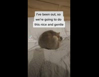 Woman checks her 19 year old if its still alive 