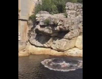 Red shorts guy triple backflip grey rock