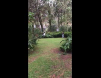 White shirt guy falls off zip line 