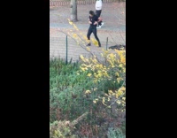 Man touches self in middle of park