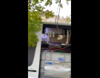 Collab WINY - Van with skeleton props hanged near door