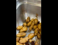 Potato looks like it has a butt