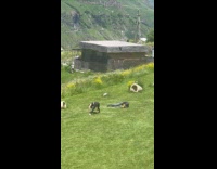 Collab IITW - Woman yoga outfit bend man takes picture