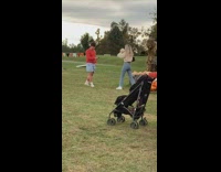 Girl hold melon kid tantrum trolley grass