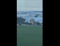 Two group of women in bikini poses at the beach
