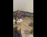 Girl sits down and greeted by puppies