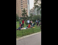 People wear dinosaur costume masks park grass
