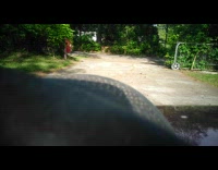 Guy pranks son with dead snake 