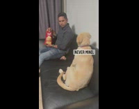 Collab Kale Salad IG - Dog sits watches guy eat chips