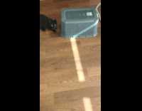 Cat under upside down grey laundry basket 