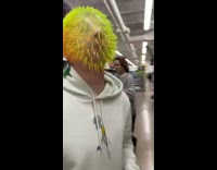 Guy puts his face inside of a rubber plastic ball and screeches
