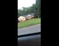 Flying duck follows car every time he drives 