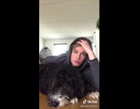 Guy and dog stand and jump together  