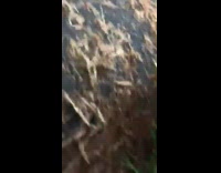 ClipsIG - Man on Small Bike Slides Down Hill and fail