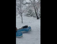Guys ride inflatable whale float down hill 