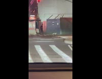 Man walk on street with robot dog