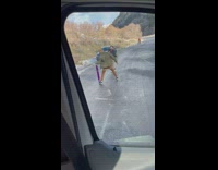 Man in a horse mask and skateboard dance on the street