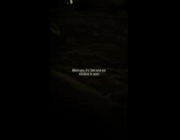 Man pretends to be mort looking for king julien