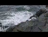 Collab DailyDoseOfInternet - Waves hit small crevasse coastline water burst