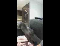 Grey cat on couch walks up to guys face and starts biting ear 