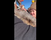 Man meets Phil the groundhog