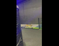 Woman slides off slide while girl watches