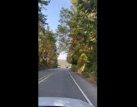 Collab DailyDoseOfInternet - Time lapse car drives through Oregon freeway 