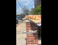 Collab WINY - Huge baguette sandwich on street brick fence dibs