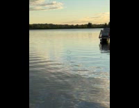 Bubble bounces on the surface of water Part 1