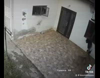 Guy hits head while playing with dog 