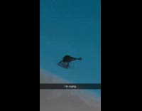 Woman thought frog has 4 legs 