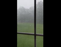 Dog barks angrily on lightning and thunder 