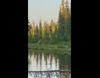 Man shirtless water photo shoot lake park