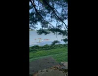 Lady swims in hudson river backstroke pt. 2 
