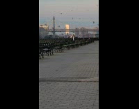 Woman with headphones dances near the pigeons
