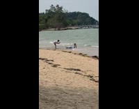 Woman mermaid blue costume 