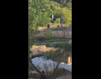 Woman blue dress photo shoot river side park